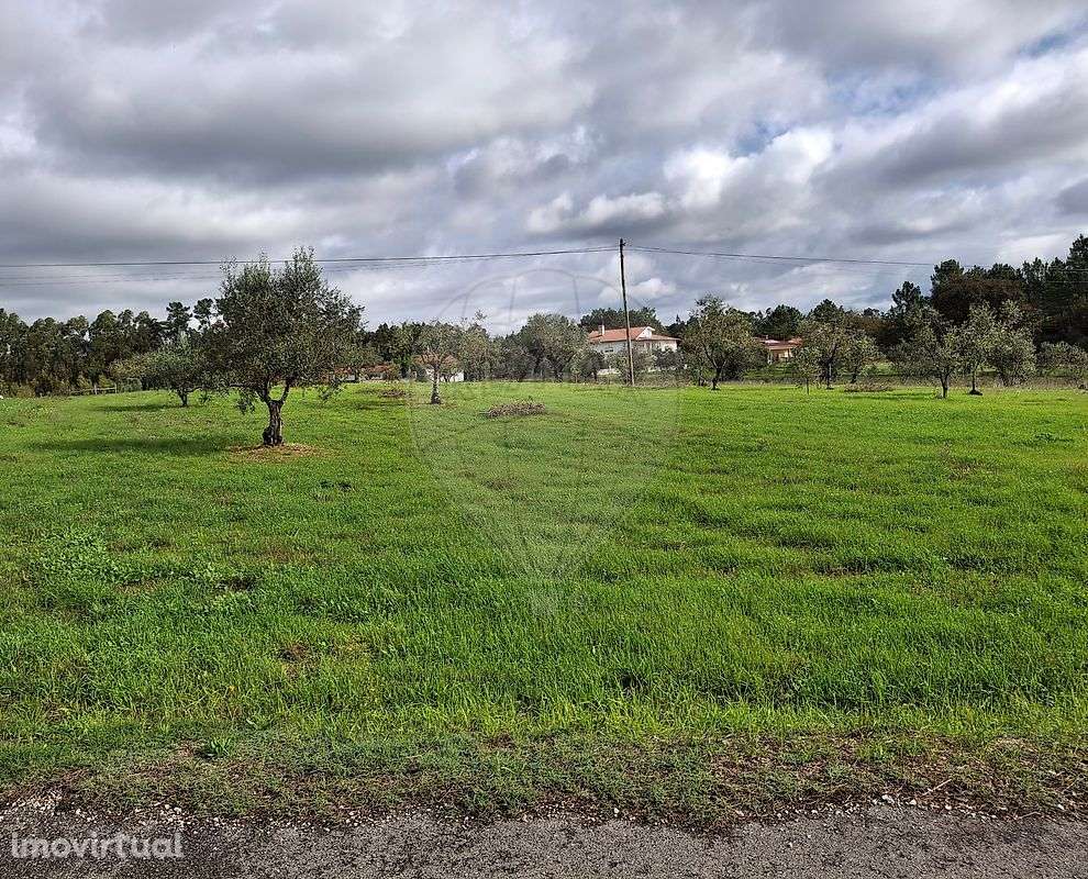 Terreno  para venda - Grande imagem: 3/6