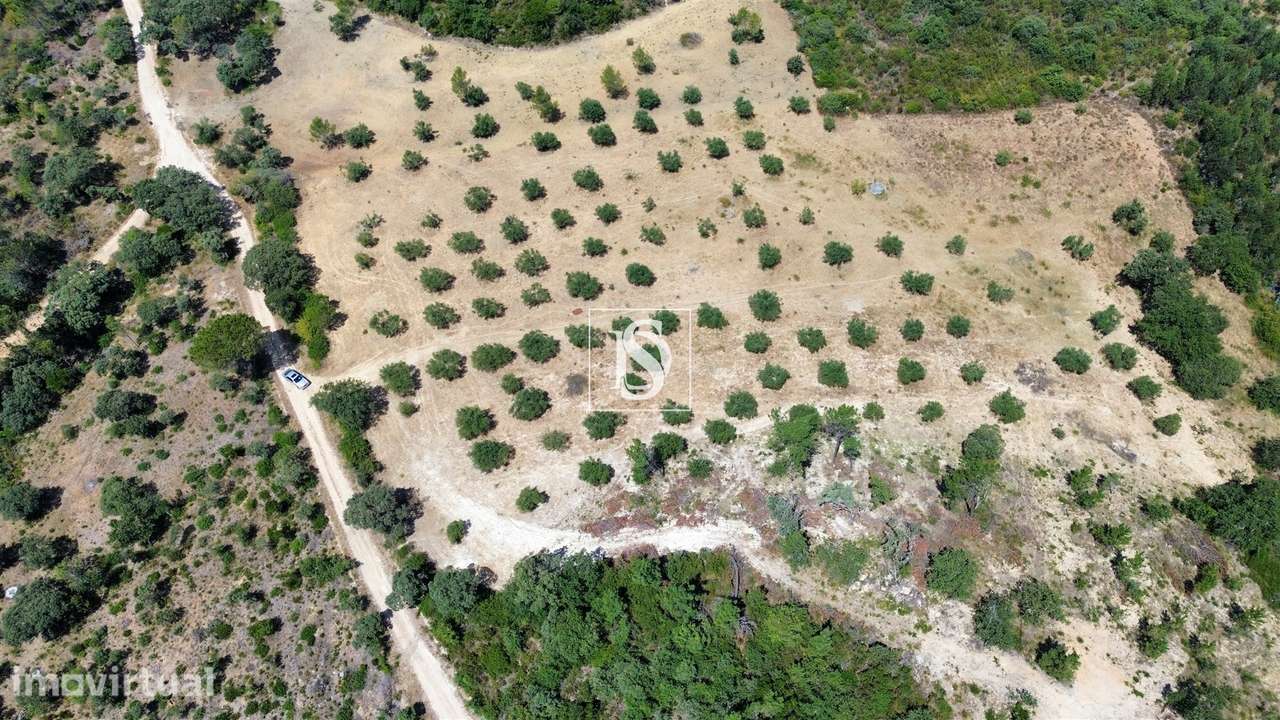 Terreno  Venda em Carregueiros,Tomar - Grande imagem: 2/4