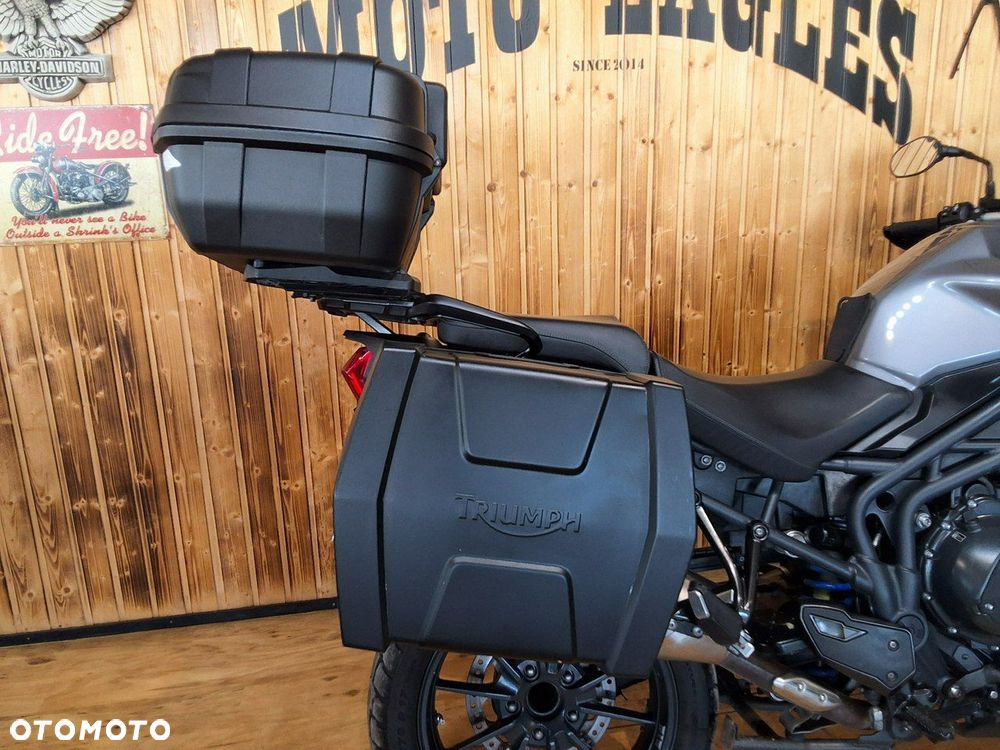 Triumph Tiger - 17