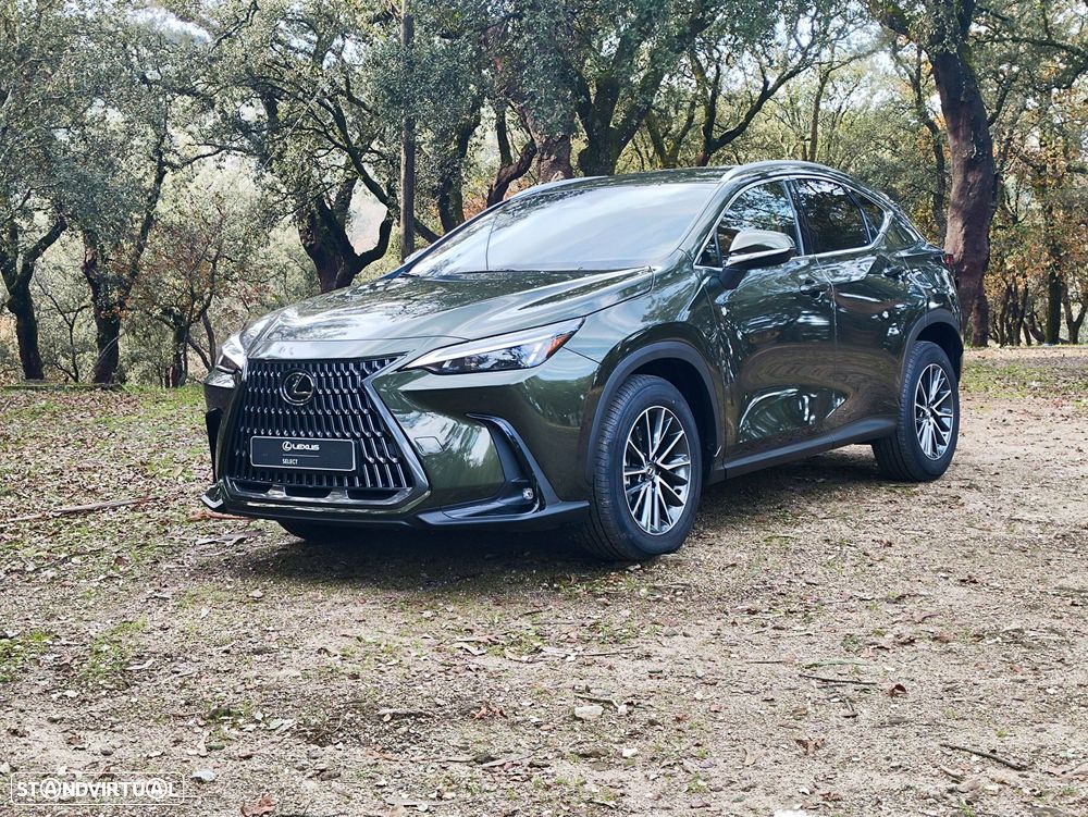 Lexus NX 450h+ - 1