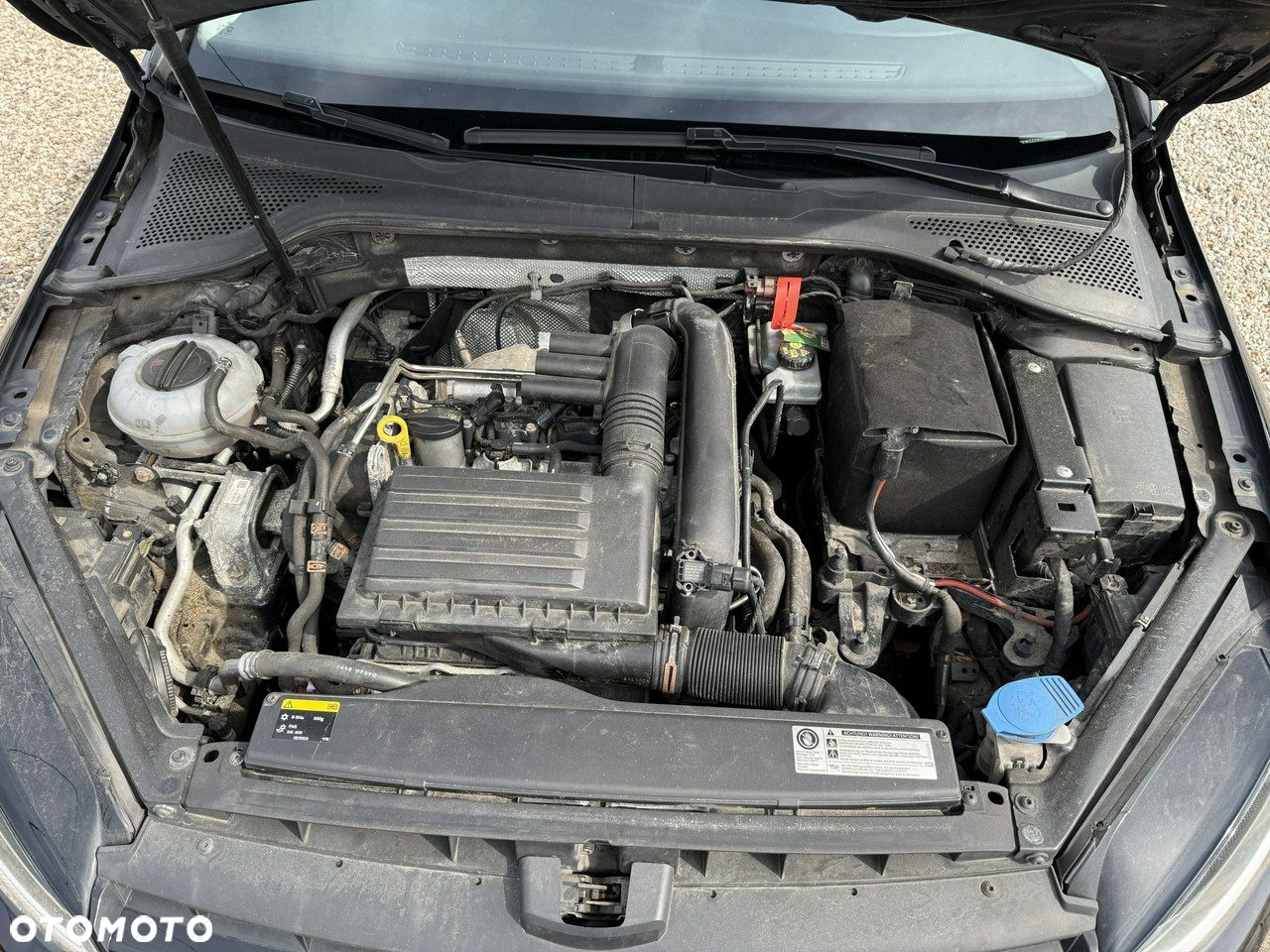 Volkswagen Golf - 10