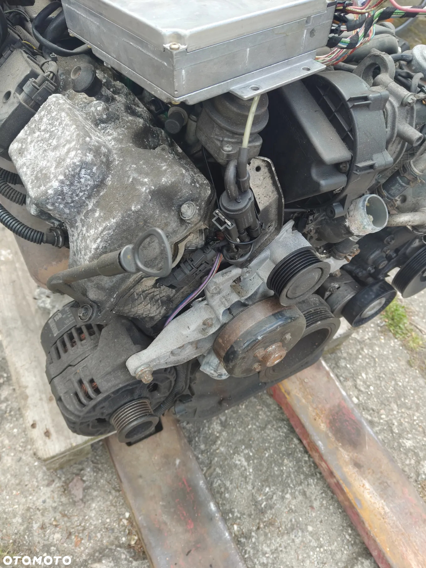 SILNIK KOMPLETNY SWAP Mercedes 5.5 AMG 113981 M113 Ml w163 w220 - 11