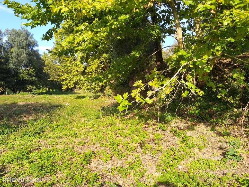 Terreno Agrícola - Fiscal - Grande imagem: 3/7