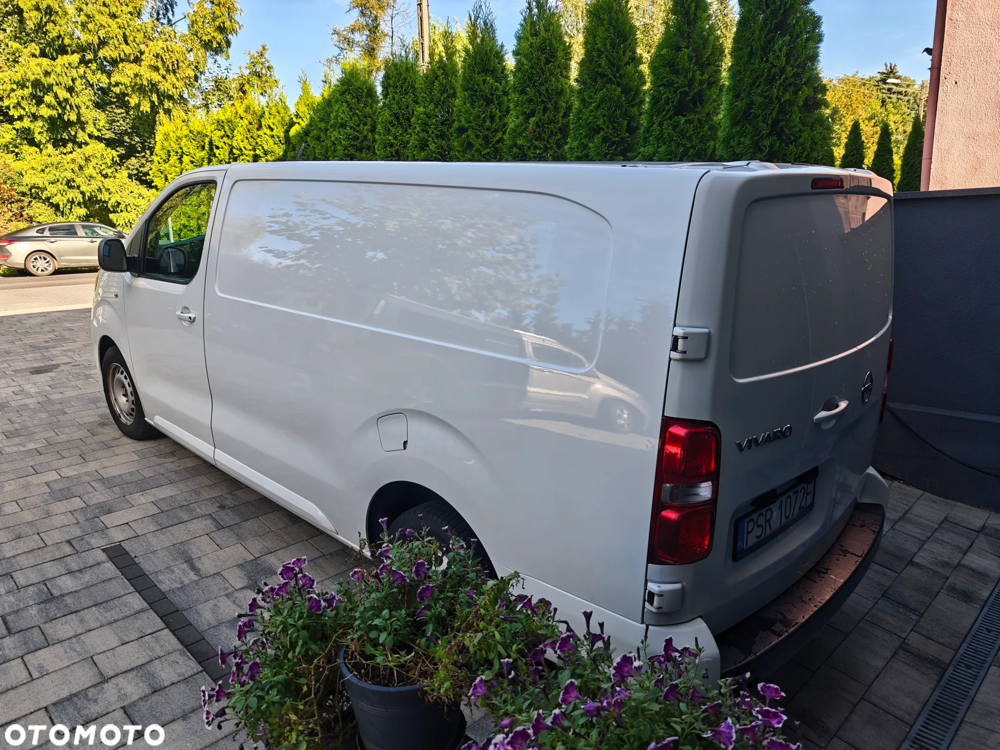 Opel Vivarto - 4