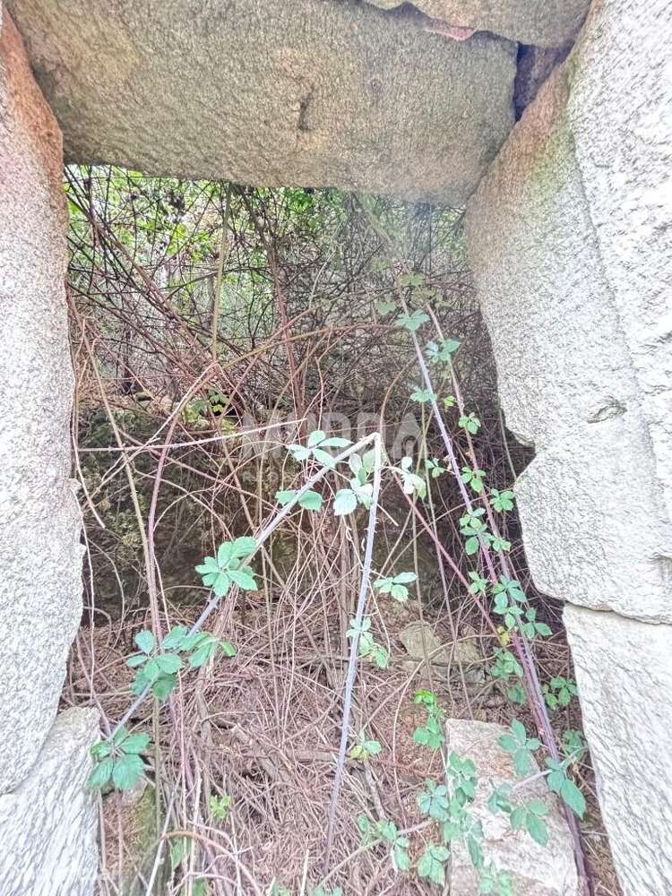 Moradia em Ruína com 411m2 de Terreno – Junqueira - Vale de Cambra - Grande imagem: 5/16