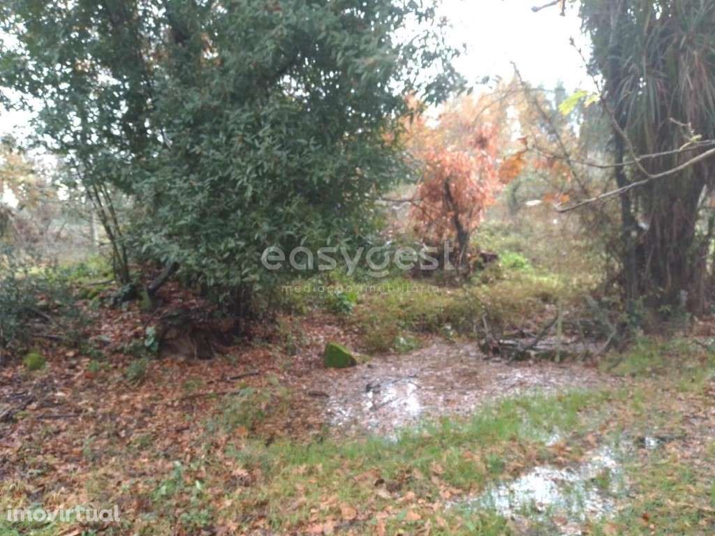 Terreno com viabilidade de construção em Canas de Santa Maria, Tondela - Grande imagem: 5/18