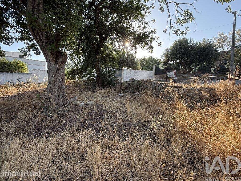 Terreno para construção em Santa Bárbara de Nexe de 3280,00 m2 - Grande imagem: 5/24