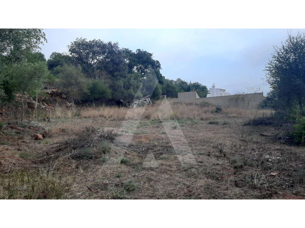 Lote de terreno com ruína e vista panorâmica, em São Brás de Alportel. - Grande imagem: 3/9