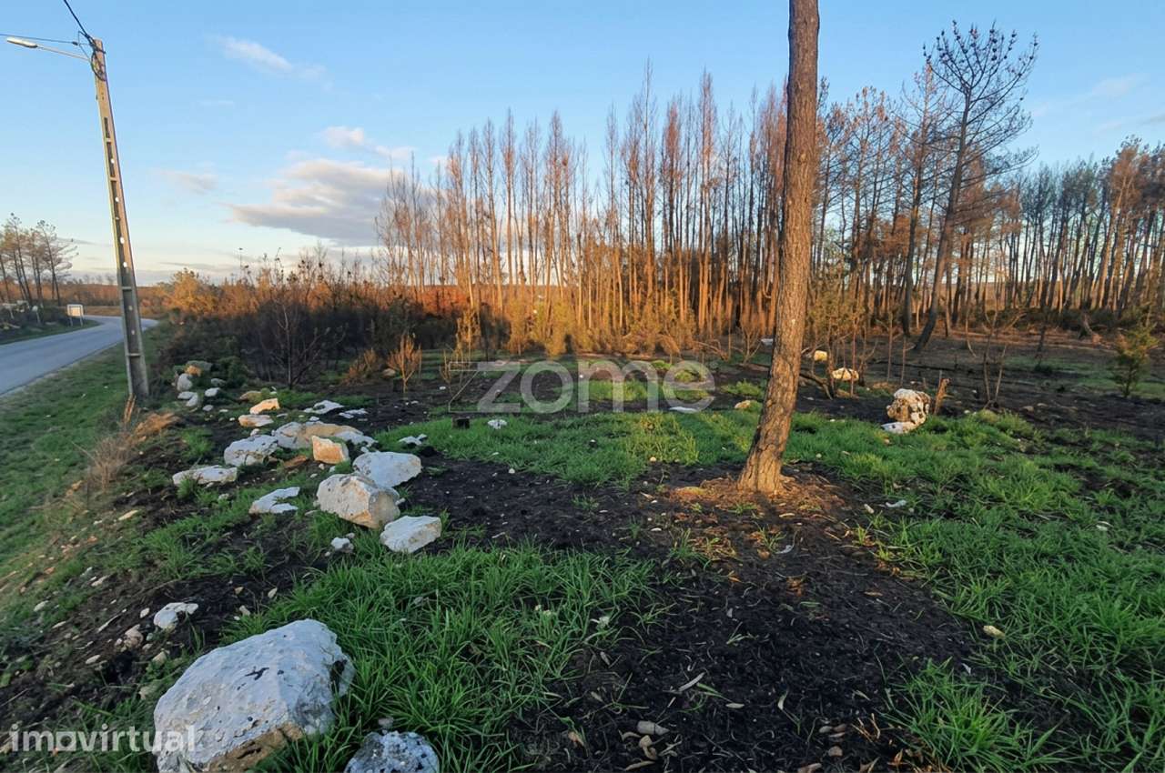 Terreno urbano + rústico com 2.472 m² – projeto ideal para moradia - Grande imagem: 4/12