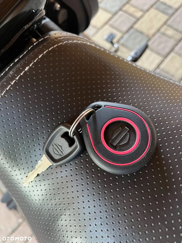 Harley-Davidson Street Rod XG 750A - 20