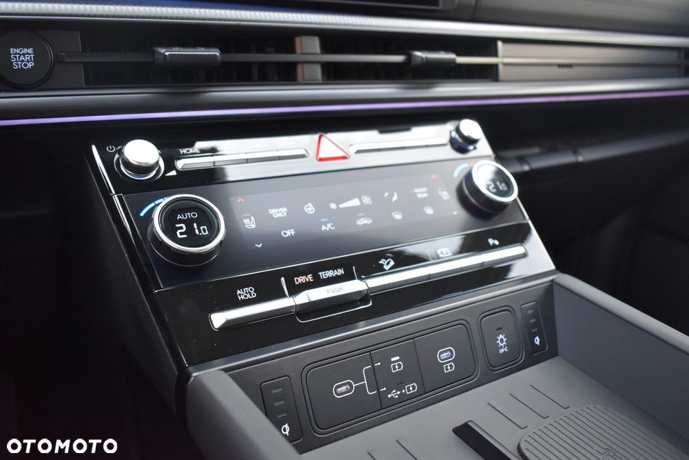 Hyundai Santa Fe - 17