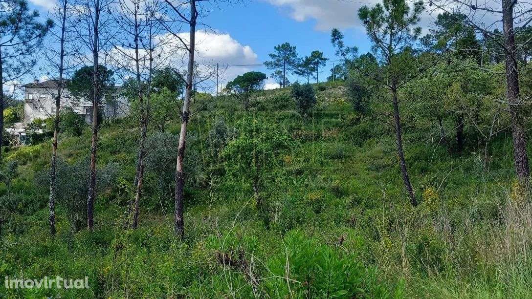 Terreno para construção Habitacional - Grande imagem: 2/12