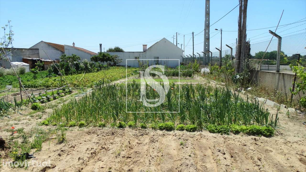 Terreno  Venda em Sarilhos Grandes,Montijo - Grande imagem: 3/10