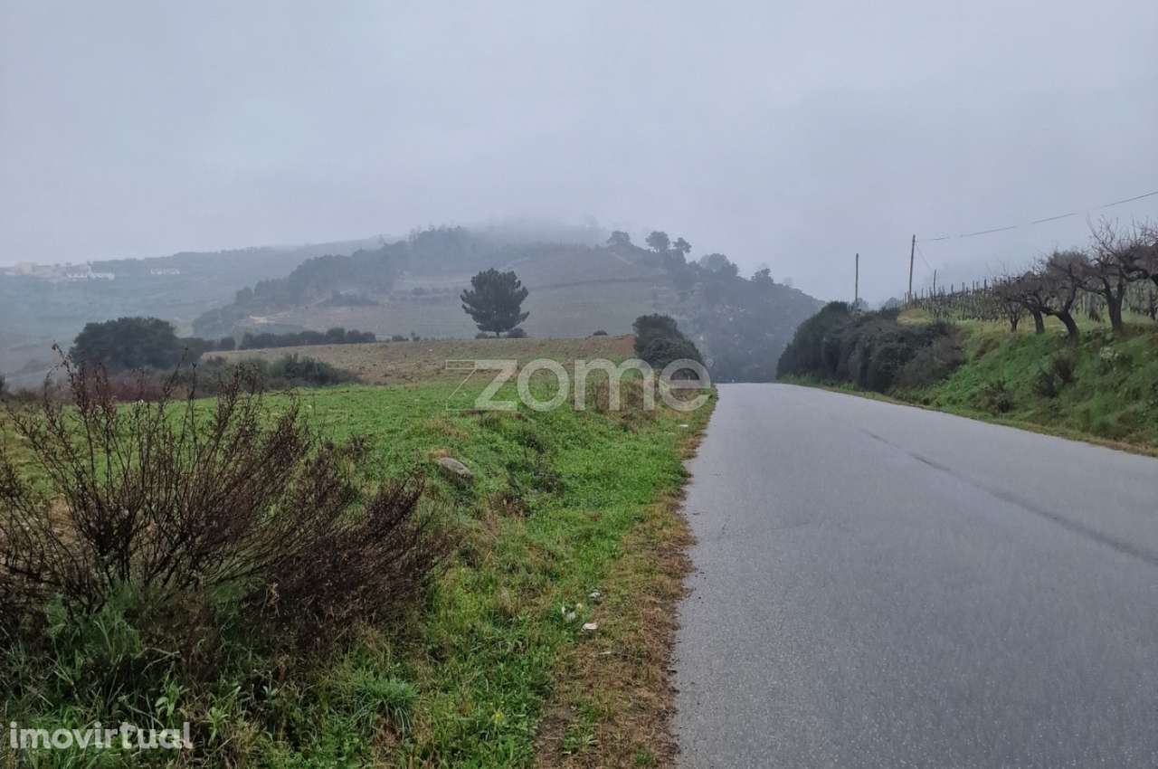 Terreno rústico , Murça - Grande imagem: 4/9