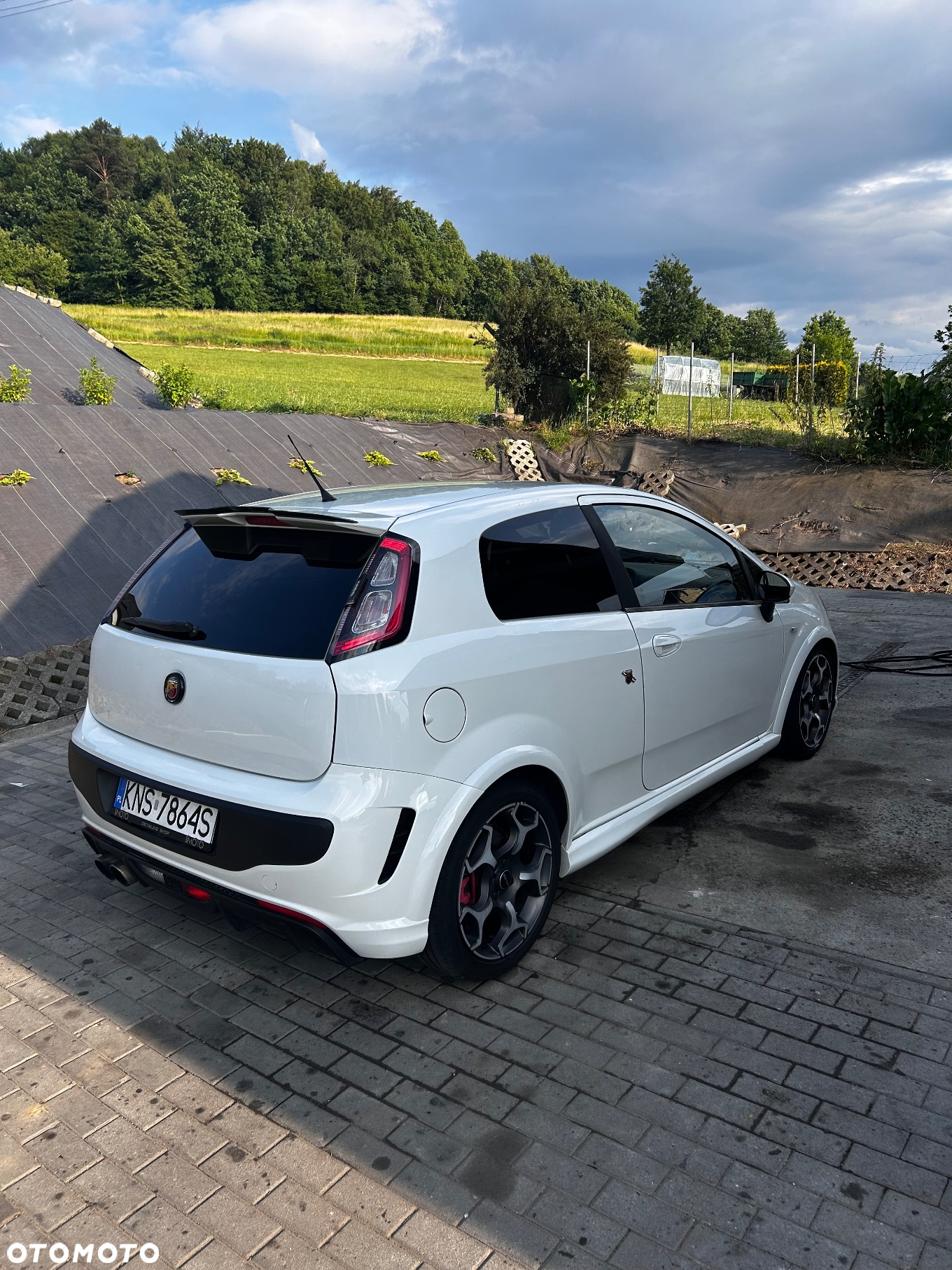 Abarth Punto Evo - 3