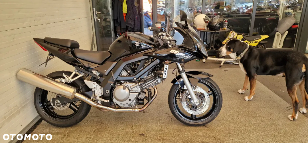 Suzuki SV - 12