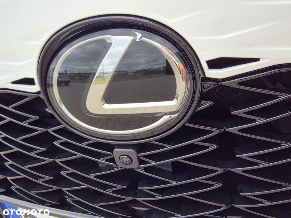 Lexus RX - 18