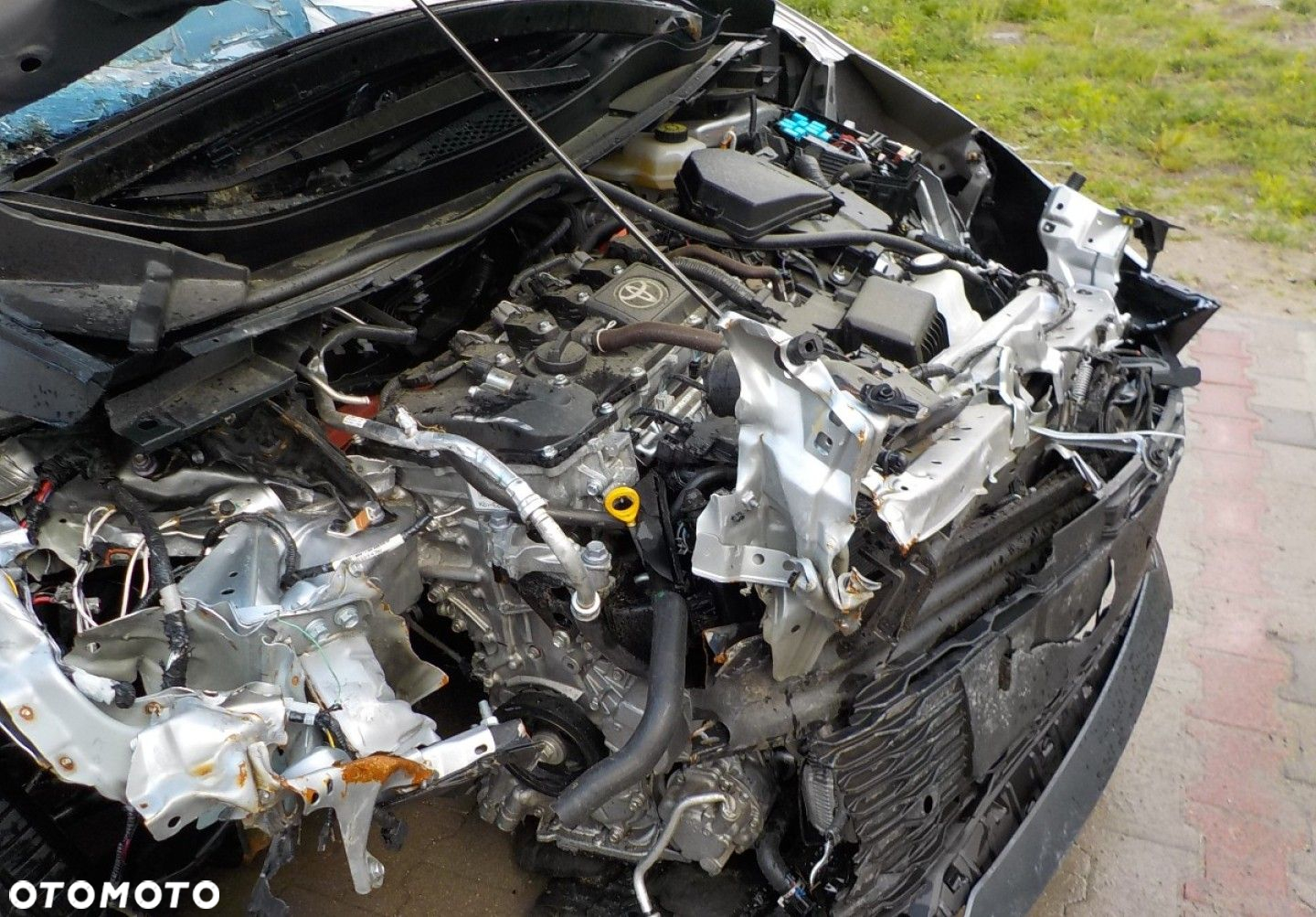 Toyota C-HR - 5