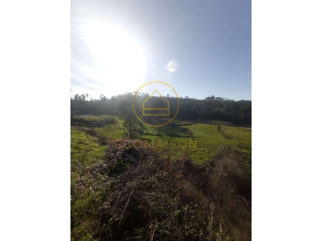 Terreno Construção - Croca, Penafiel - Grande imagem: 4/13