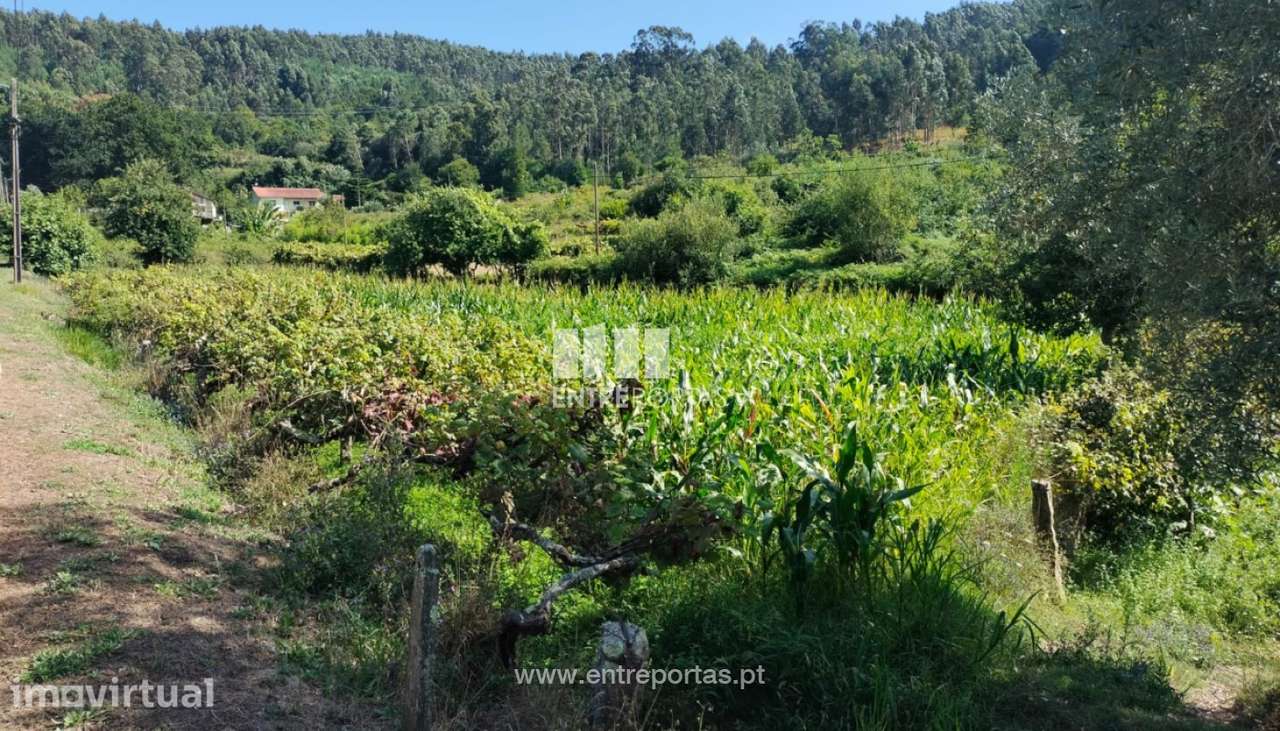 Terreno de construção, para venda, Gondarém, Vila Nova de Cerveira - Grande imagem: 3/7