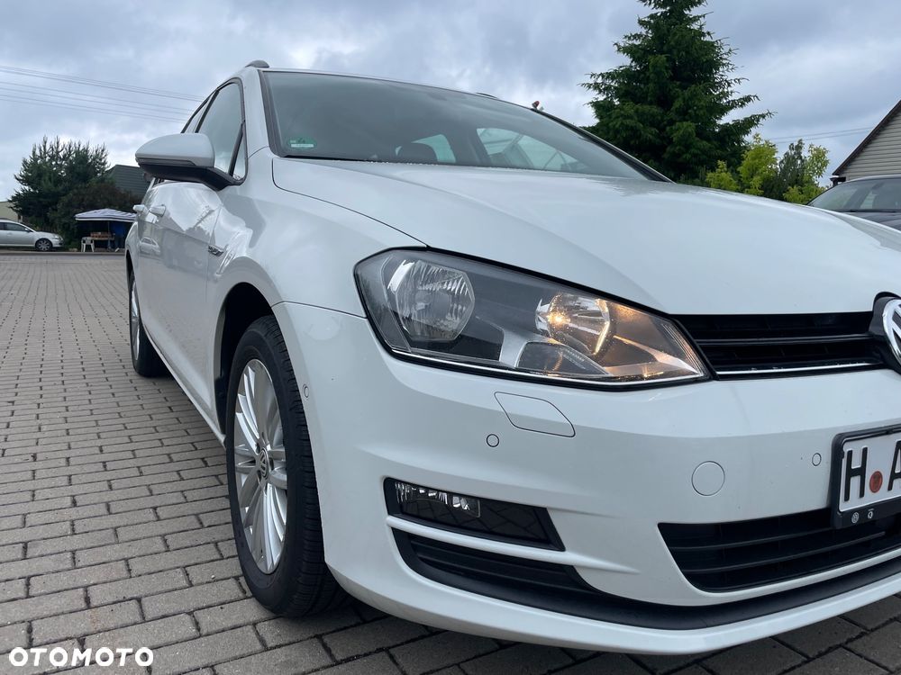 Volkswagen Golf 1.6 TDI BlueMotion Technology Cup - 6