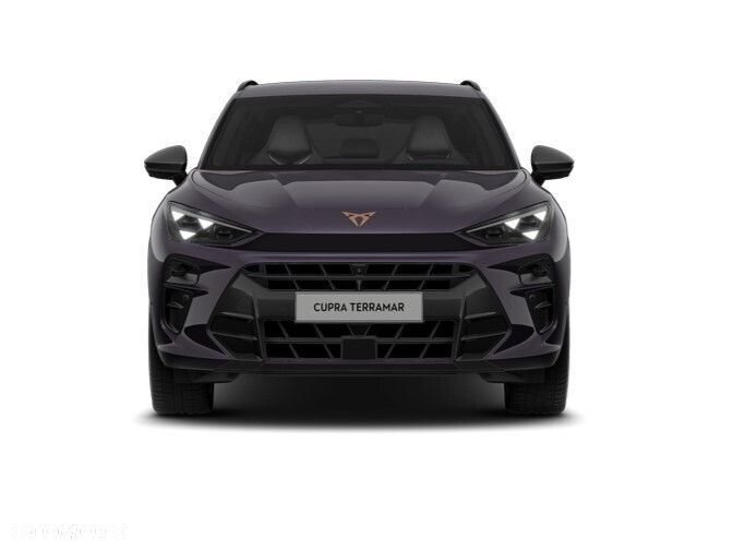 Cupra Terramar 2.0 TSI 4Drive Advantage Edition DSG - 6