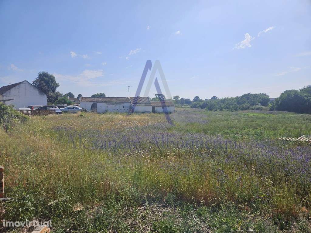 Quinta com 3 Habitações | Pinhal Novo | Terreno 5.400 m² - Grande imagem: 2/39