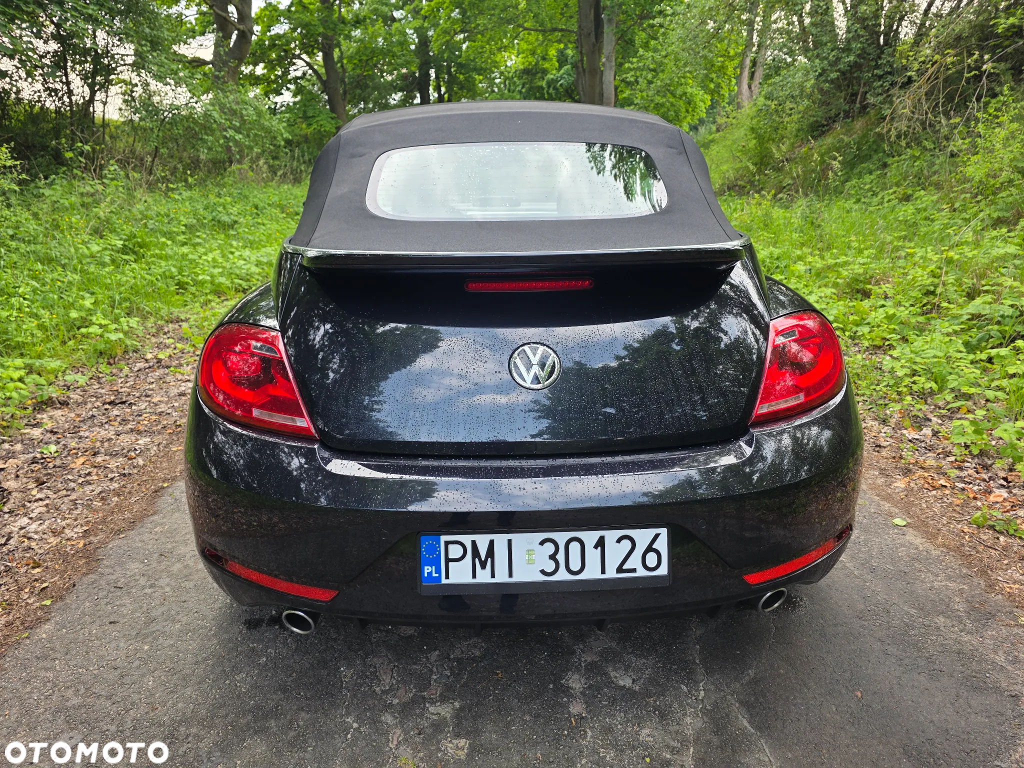 Volkswagen Beetle 2.0 TSI Sport DSG - 30