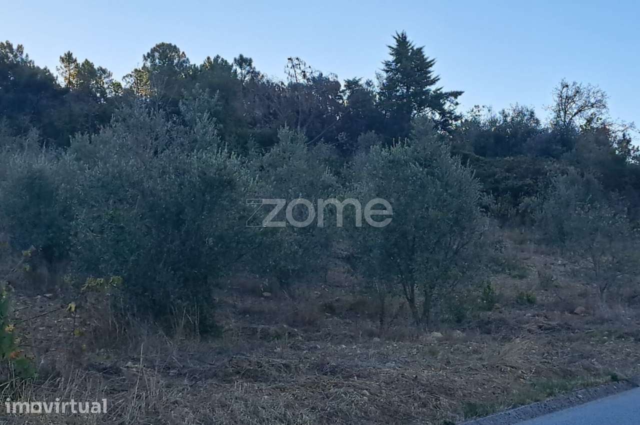 TERRENO COM POTENCIAL AGRÍCOLA E ECONÓMICO | 1.420 m² | ALMALAGUÊS - Grande imagem: 3/14