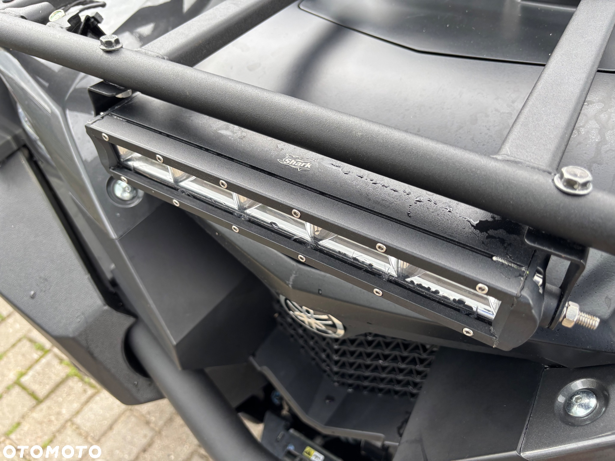 Yamaha Grizzly - 10