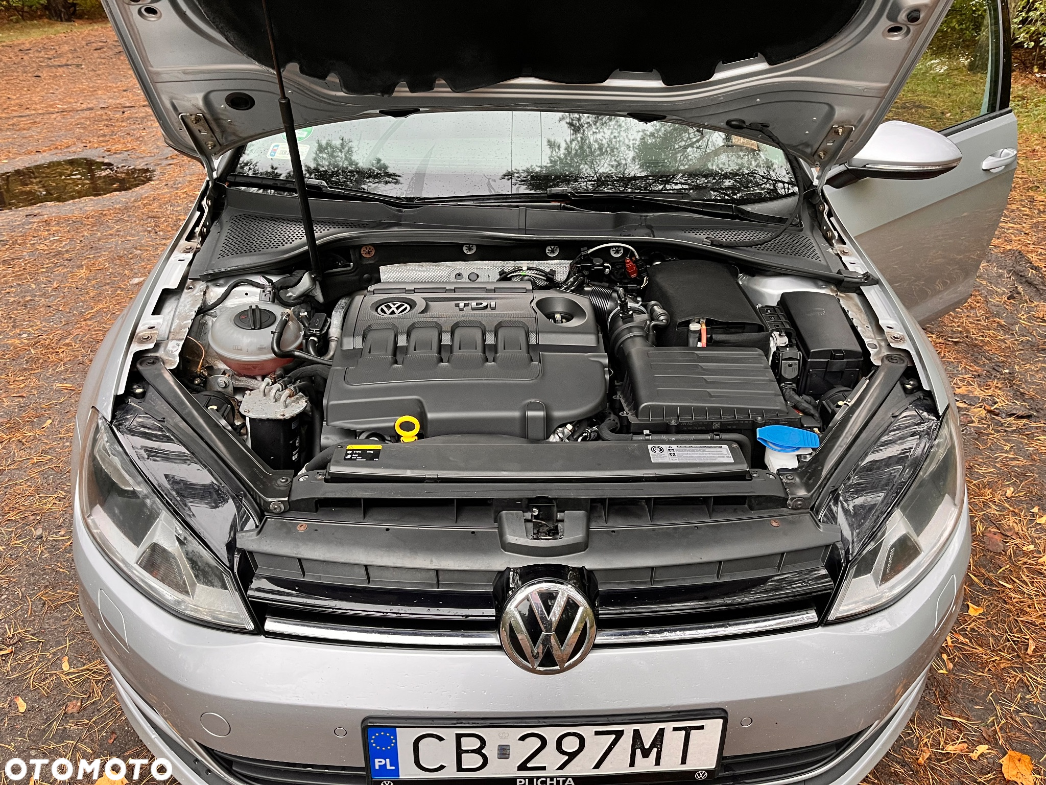 Volkswagen Golf - 9