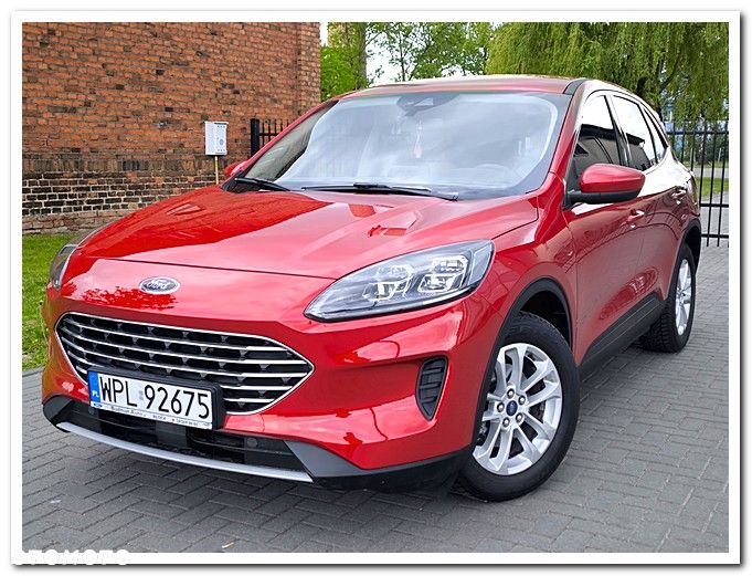 Ford Escape - 3