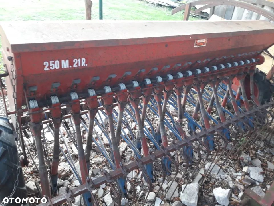 Steyer Stegsted2.50M - 4