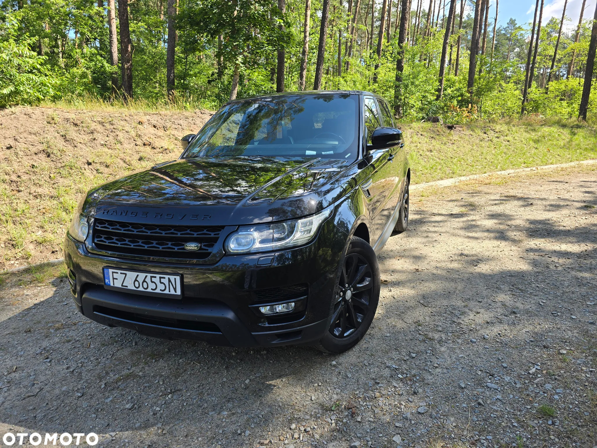 Land Rover Range Rover Sport S 3.0 TD V6 HSE - 2