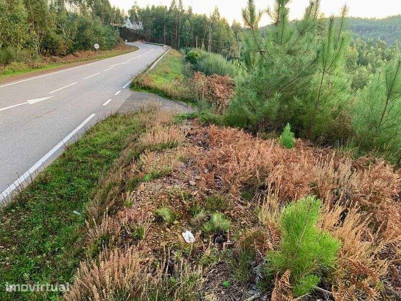 2 terrenos juntos       290m de margem de estrada nacional 344 - Grande imagem: 5/12