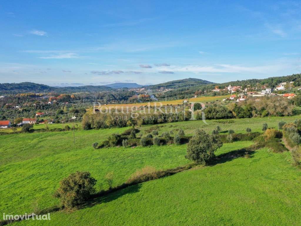 Quinta com 8 ha e solar do século XVIII, na região de Ferreira do Z... - Grande imagem: 4/36