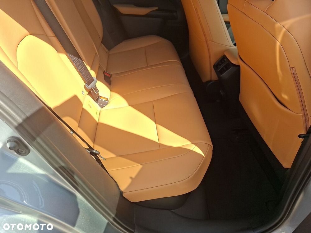 Lexus UX 300h F Sport Design - 23
