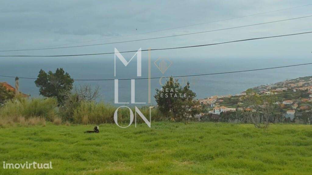 Terreno em Santa Cruz - Grande imagem: 2/15