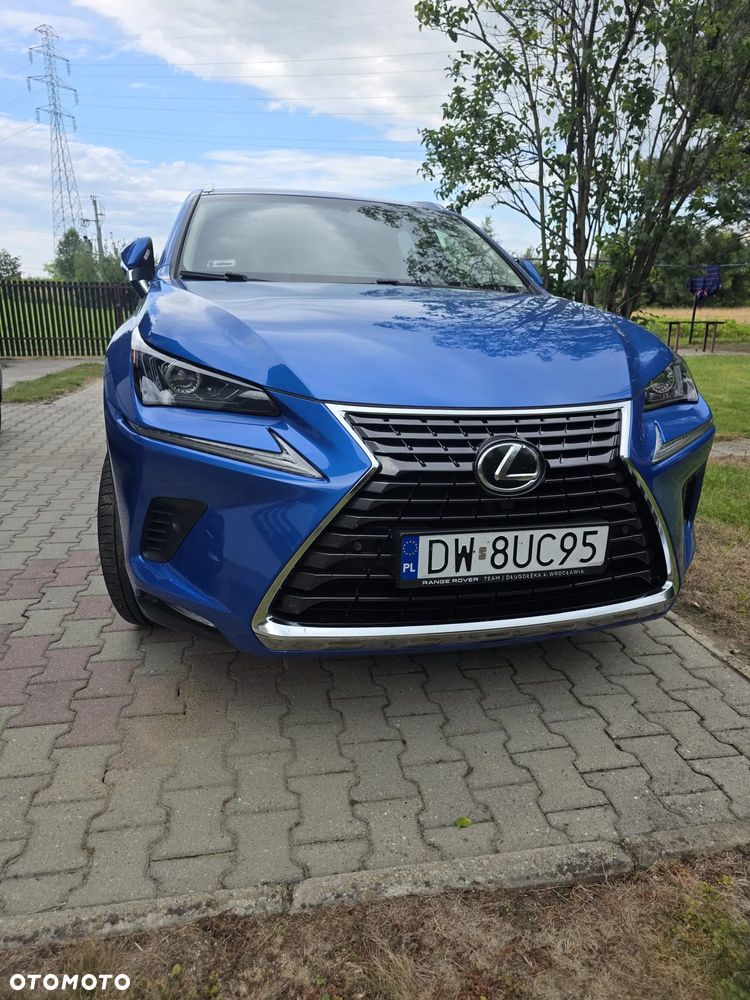 Lexus NX 300 Elegance AWD - 8