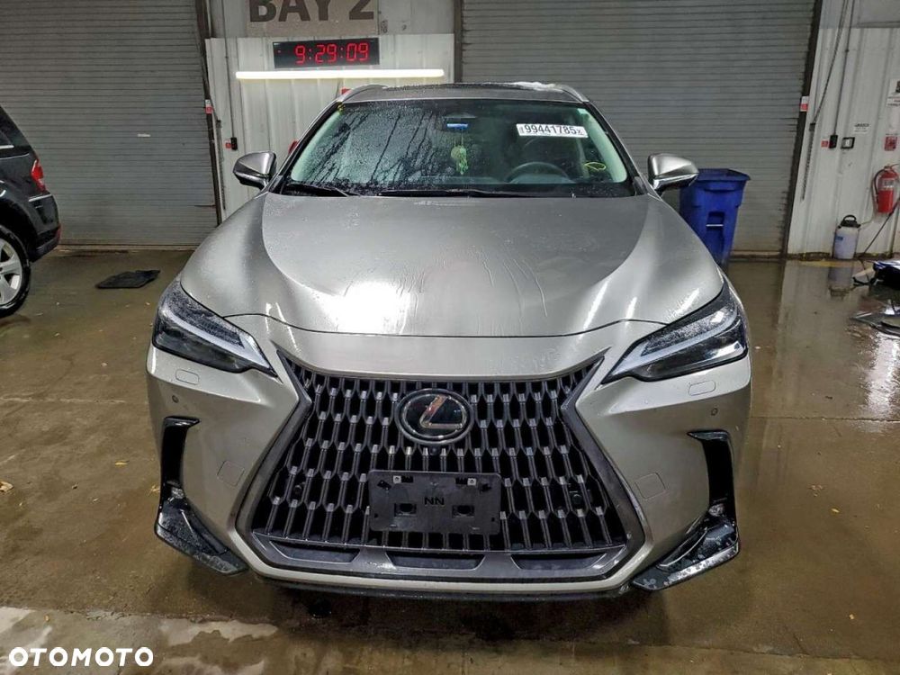 Lexus NX - 6