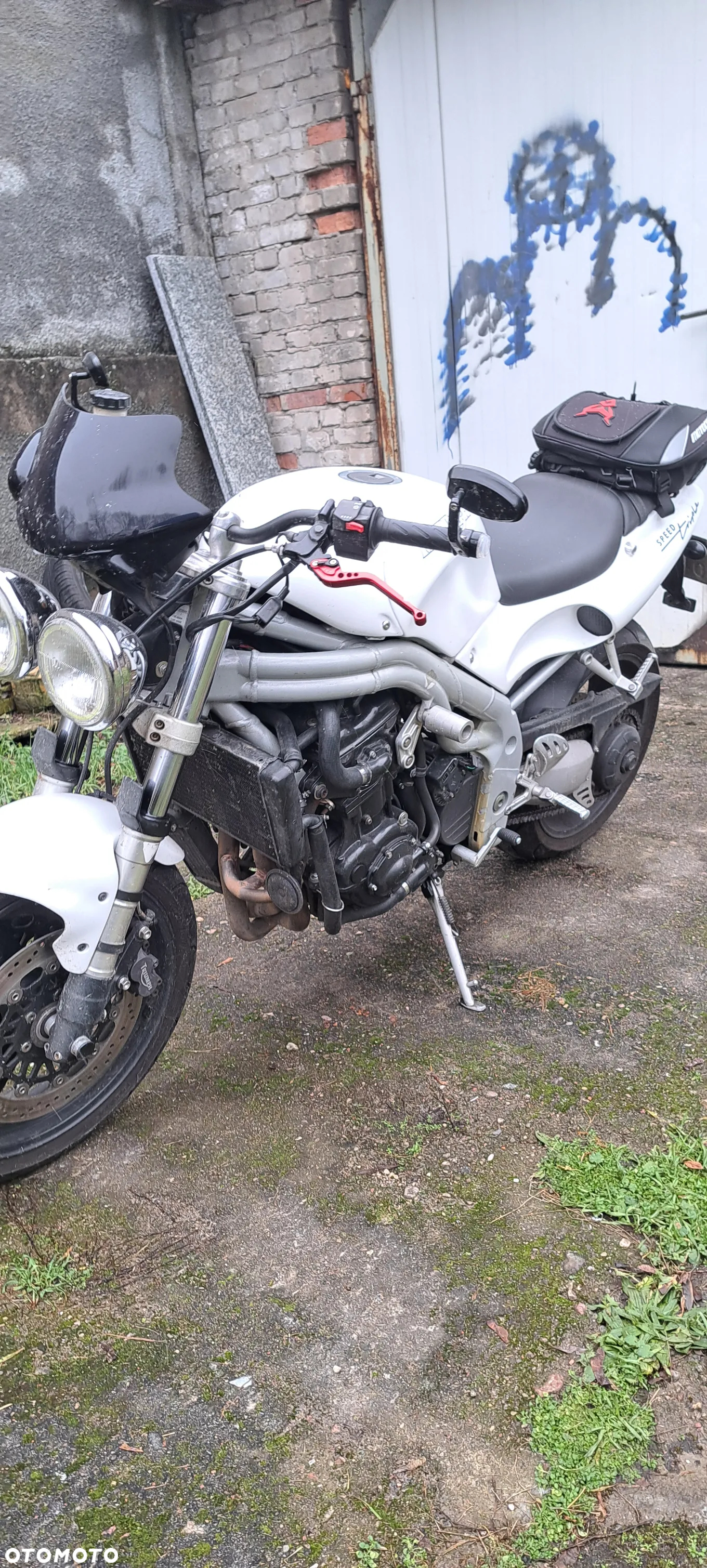 Triumph Speed Triple - 2