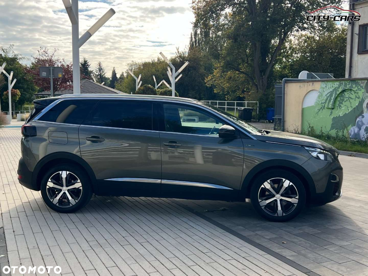 Peugeot 5008 - 12