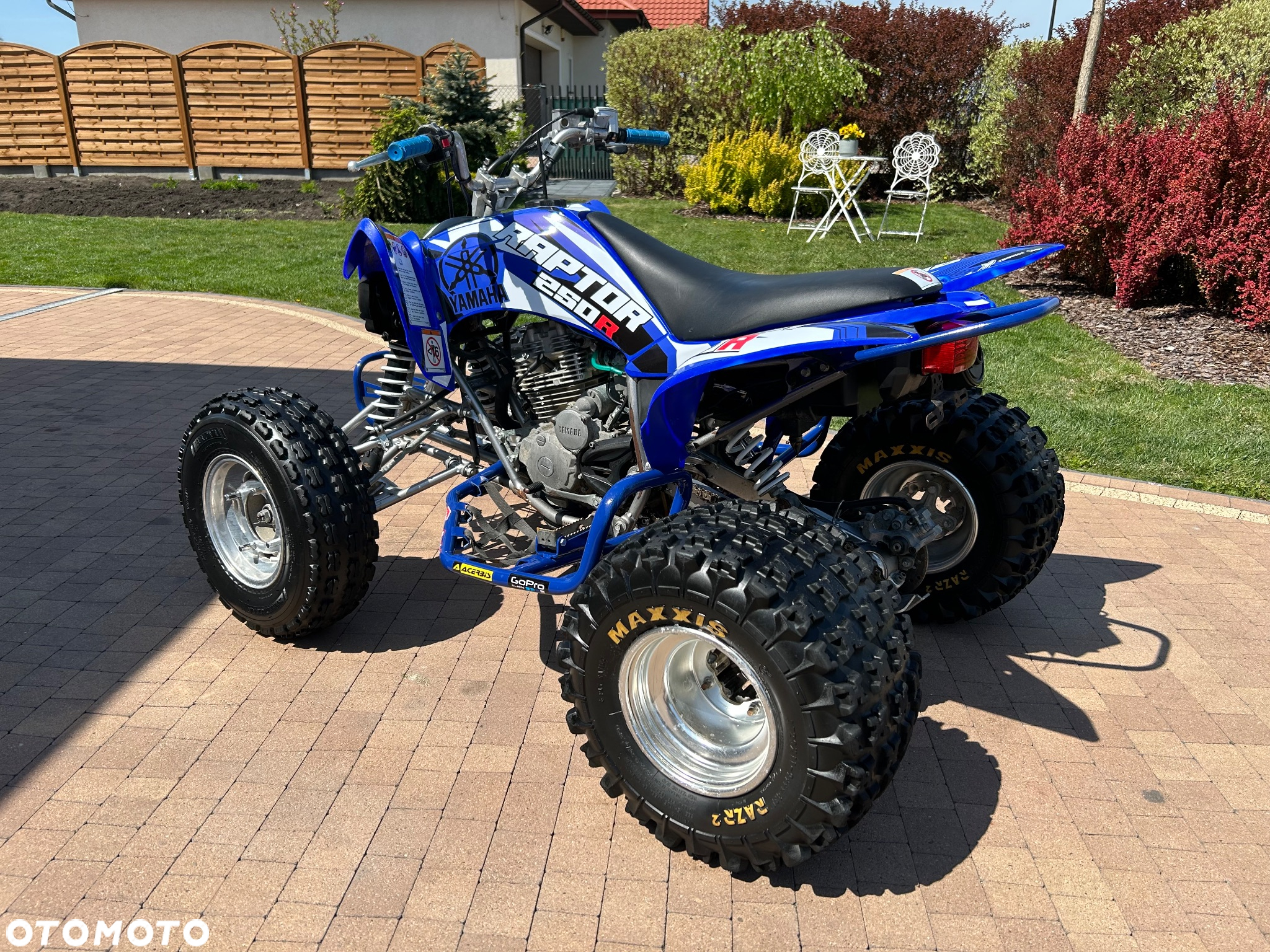 Yamaha Raptor - 10