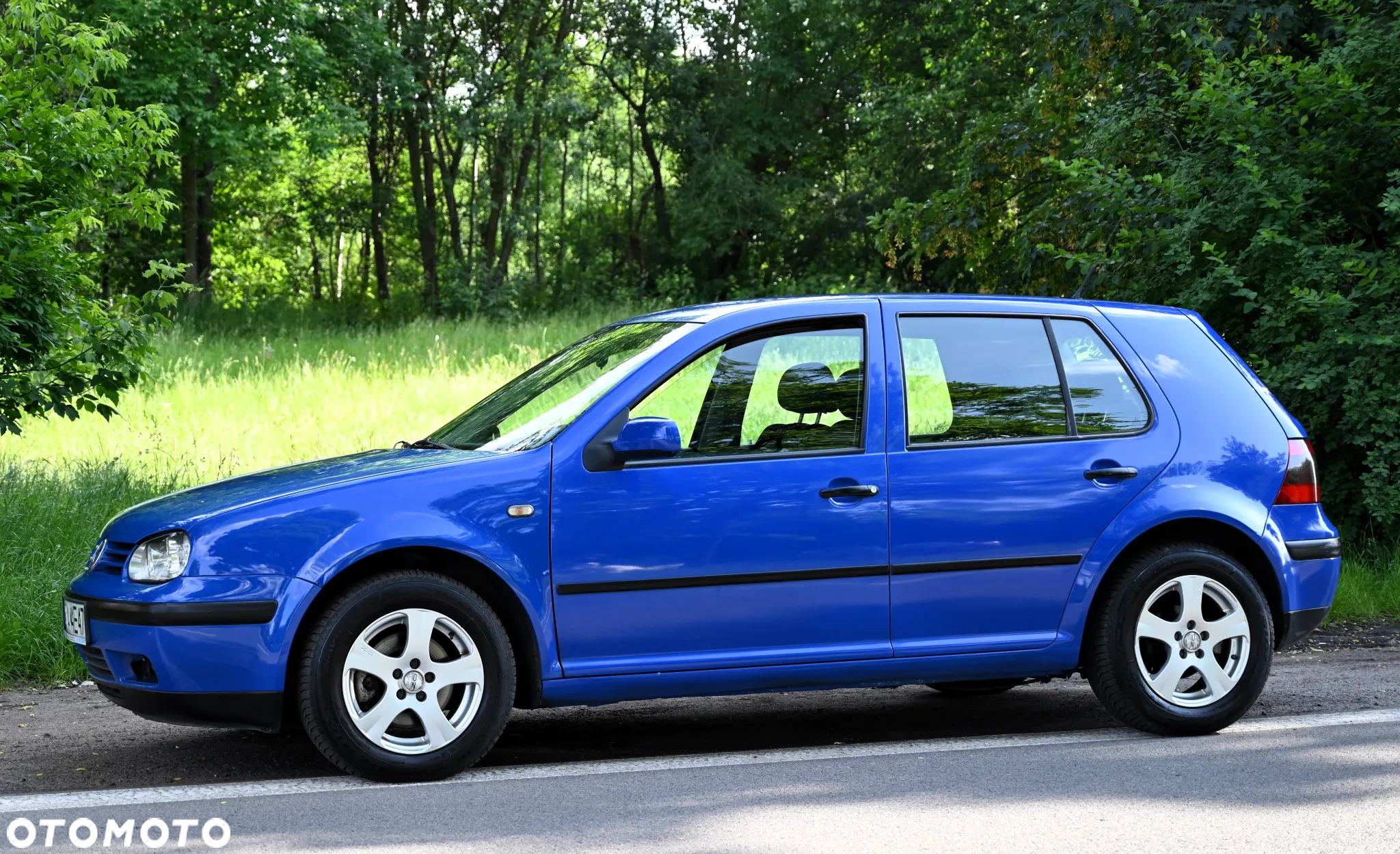 Volkswagen Golf - 19
