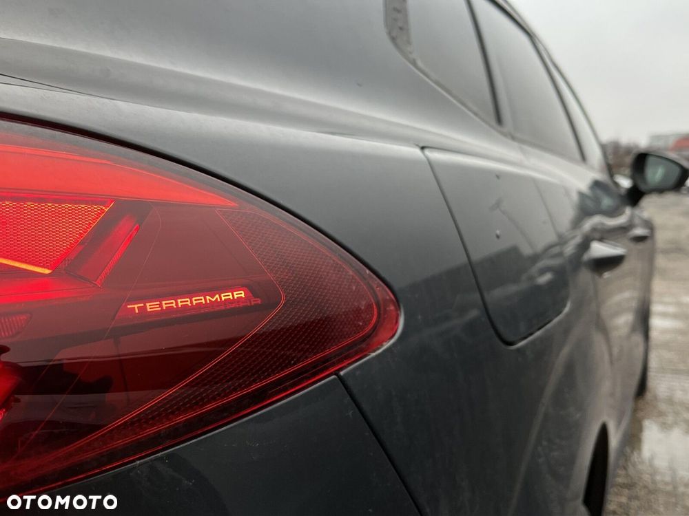 Cupra Terramar - 30