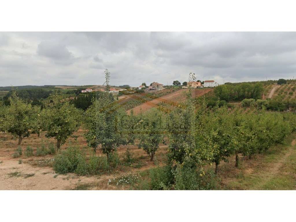 Terreno p/ construção - 5200m2 - Grande imagem: 2/2