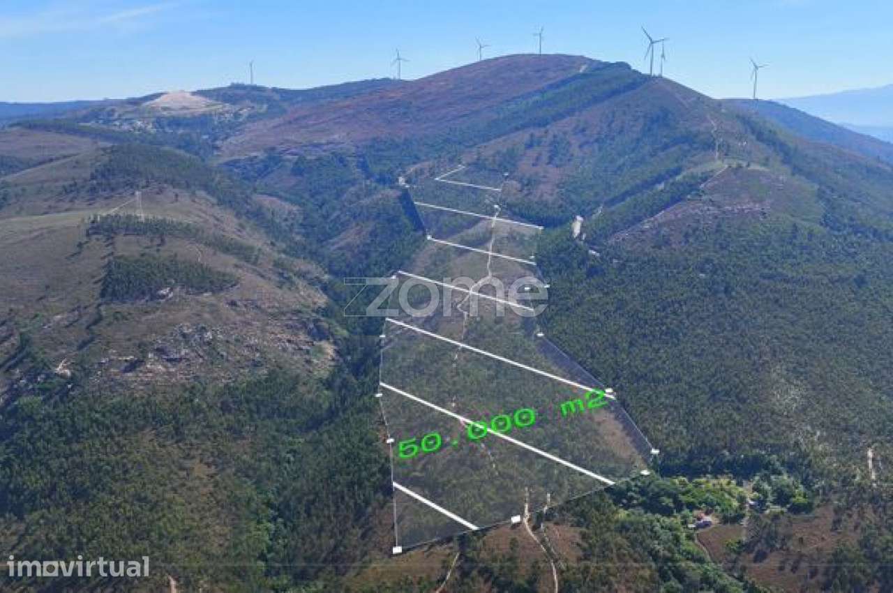 Terreno com 5 Hectares em Sebolido, Penafiel, Porto - Grande imagem: 2/14