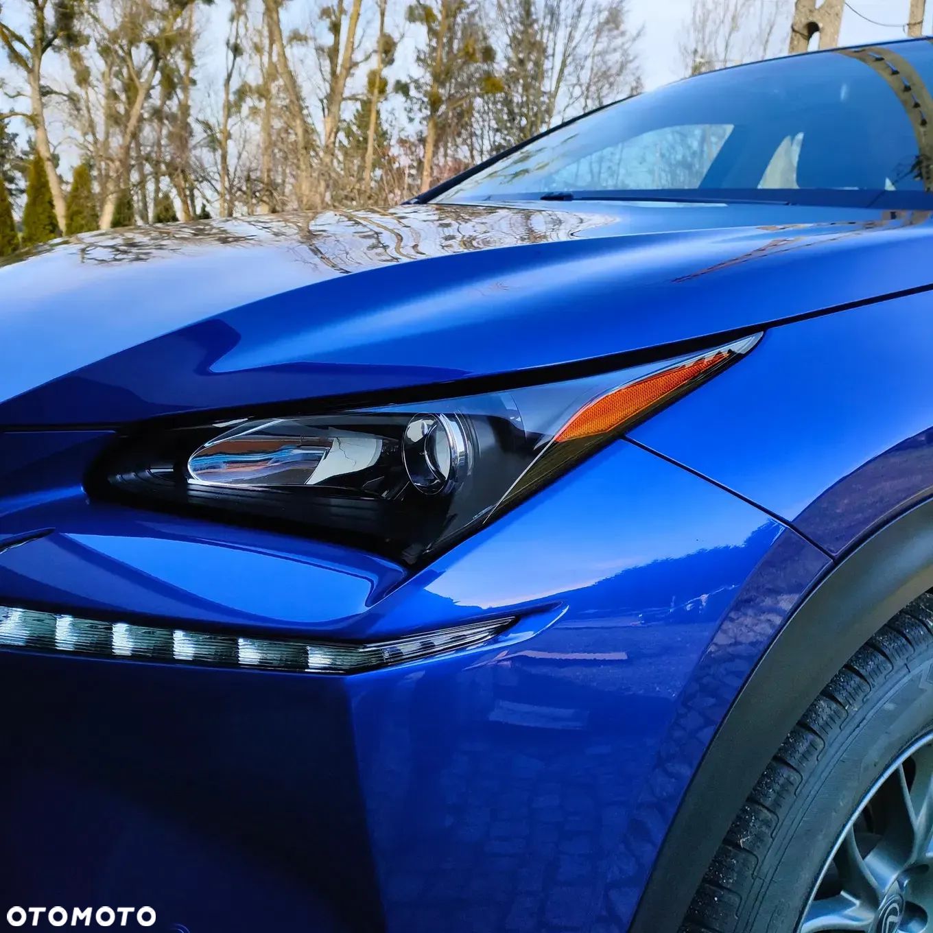 Lexus NX 300h Comfort AWD - 1