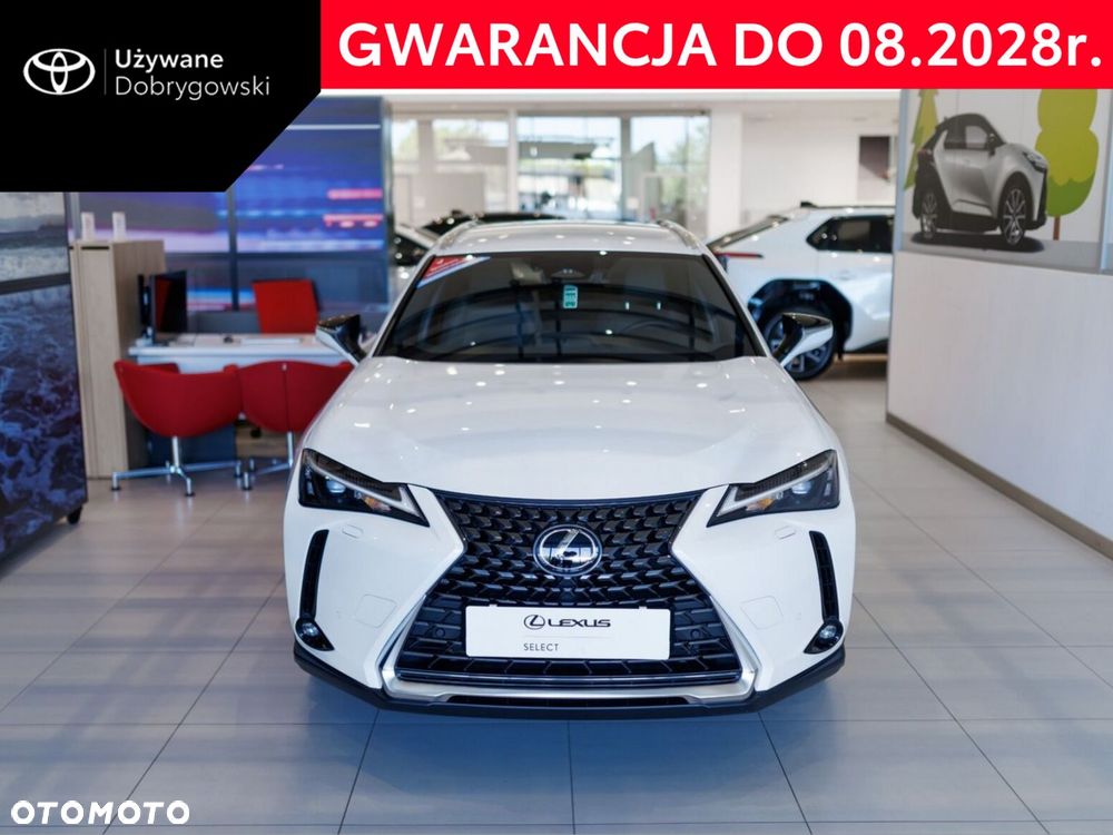Lexus UX 300h Business - 2