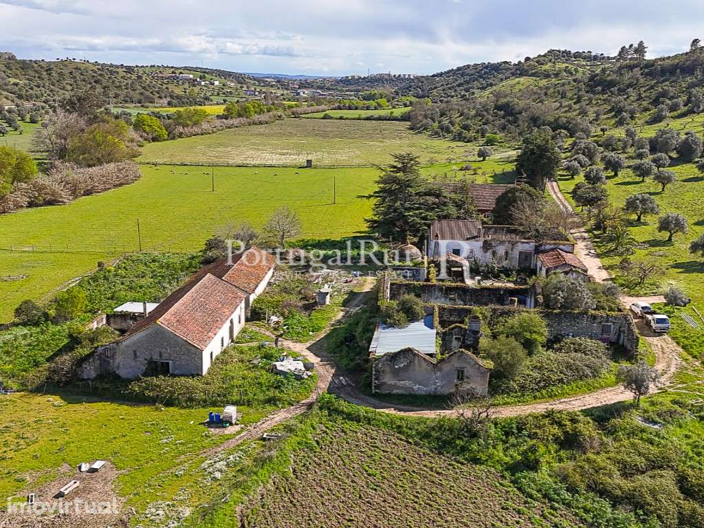 Quinta de 40 ha para Regadio com Casa Senhorial e Potencial Turístico - Grande imagem: 3/60